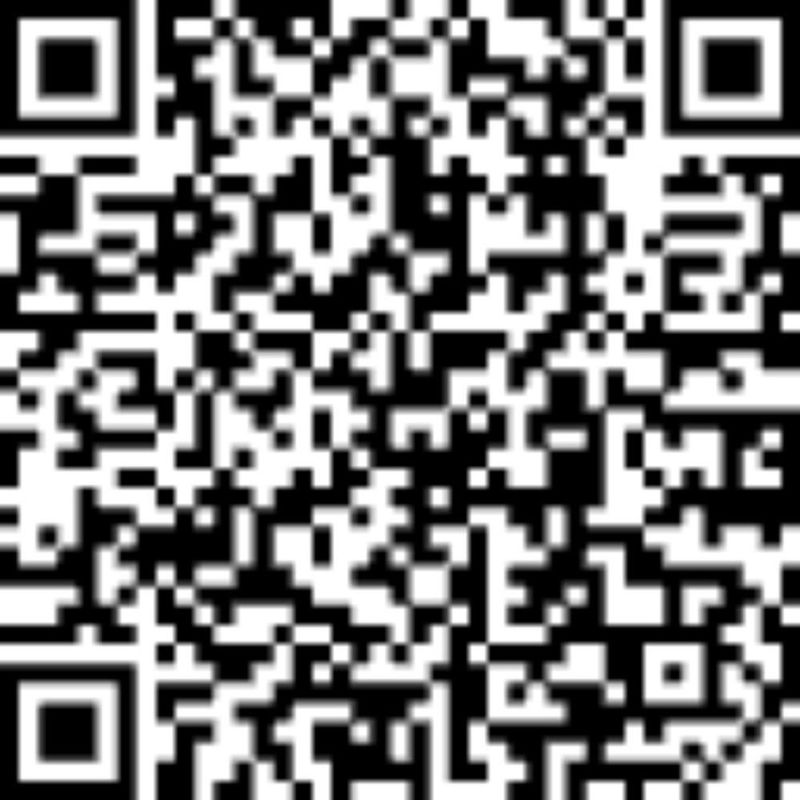 17319675911196