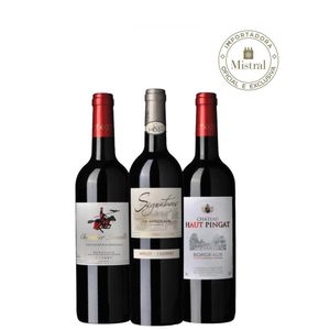 Kit Introdução aos tintos de Bordeaux