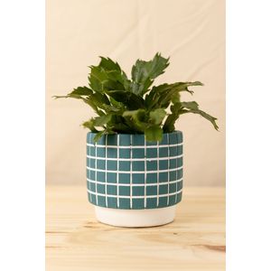 Vaso grid petróleo m