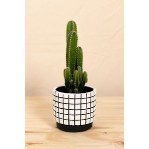 Vaso grid p branco