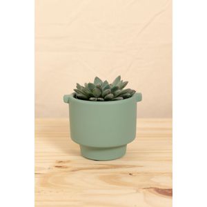 Vaso fosco verde p