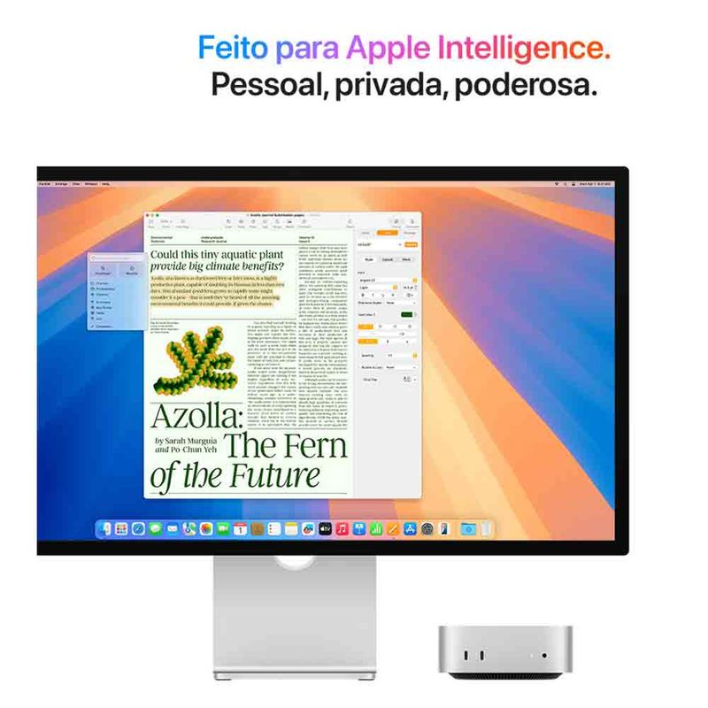 3_image