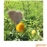 8_images