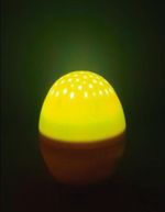 17473206097361