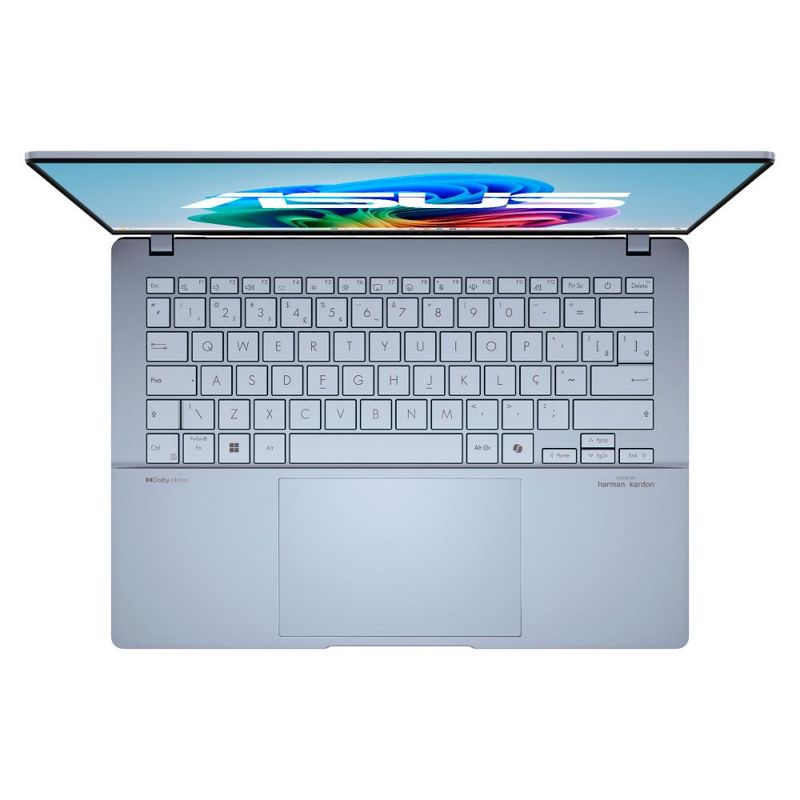 17508079355602
