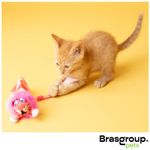 3_images