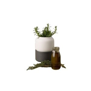 Vaso para Ervas Com Sistema de Auto Regador Pequeno Chef'n