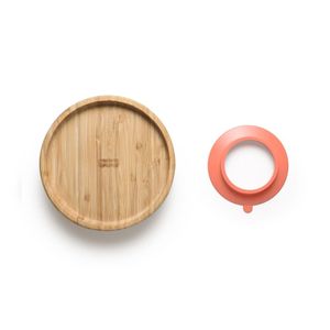 Prato Raso com Ventosa Bam N' Boo +6m Rosa Fisher Price - BB1169 BB1169